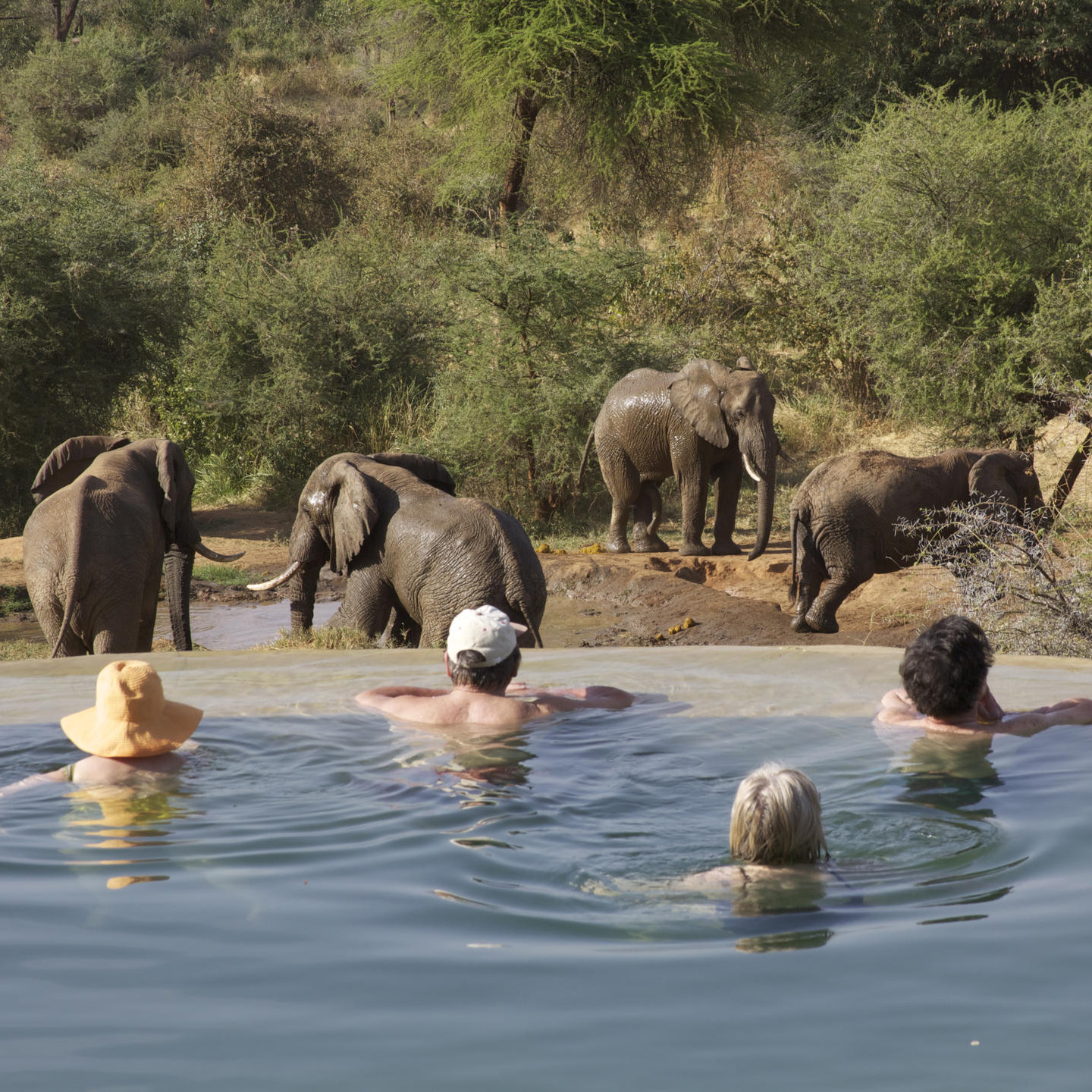 Namunyak Wildlife Conservancy | Sarara Camp