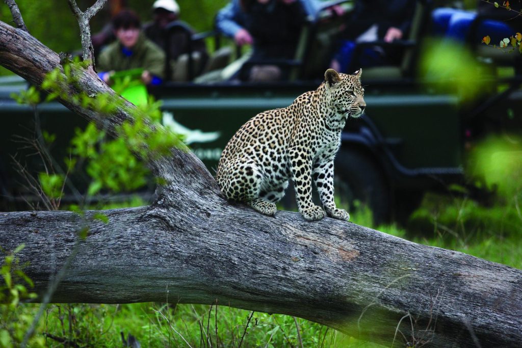 andbeyond-tengile-river-lodge_5