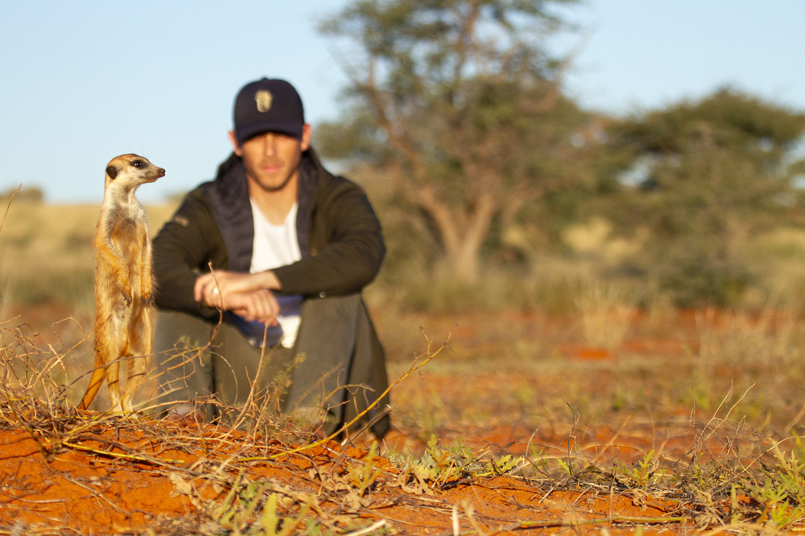 Kyle sitting near a meerkat looking across the scene