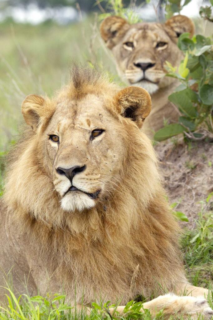 andBeyond, &Beyond, Okavango Delta, Botswana