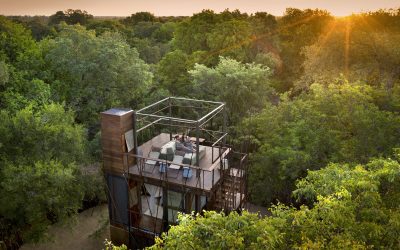 aerial-views-of-sunset-ngala-treehouse-in-the-kruger-copy