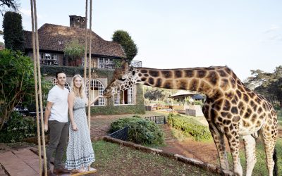 Kyle and Leah feeding a giraffe at Giraffe Manor