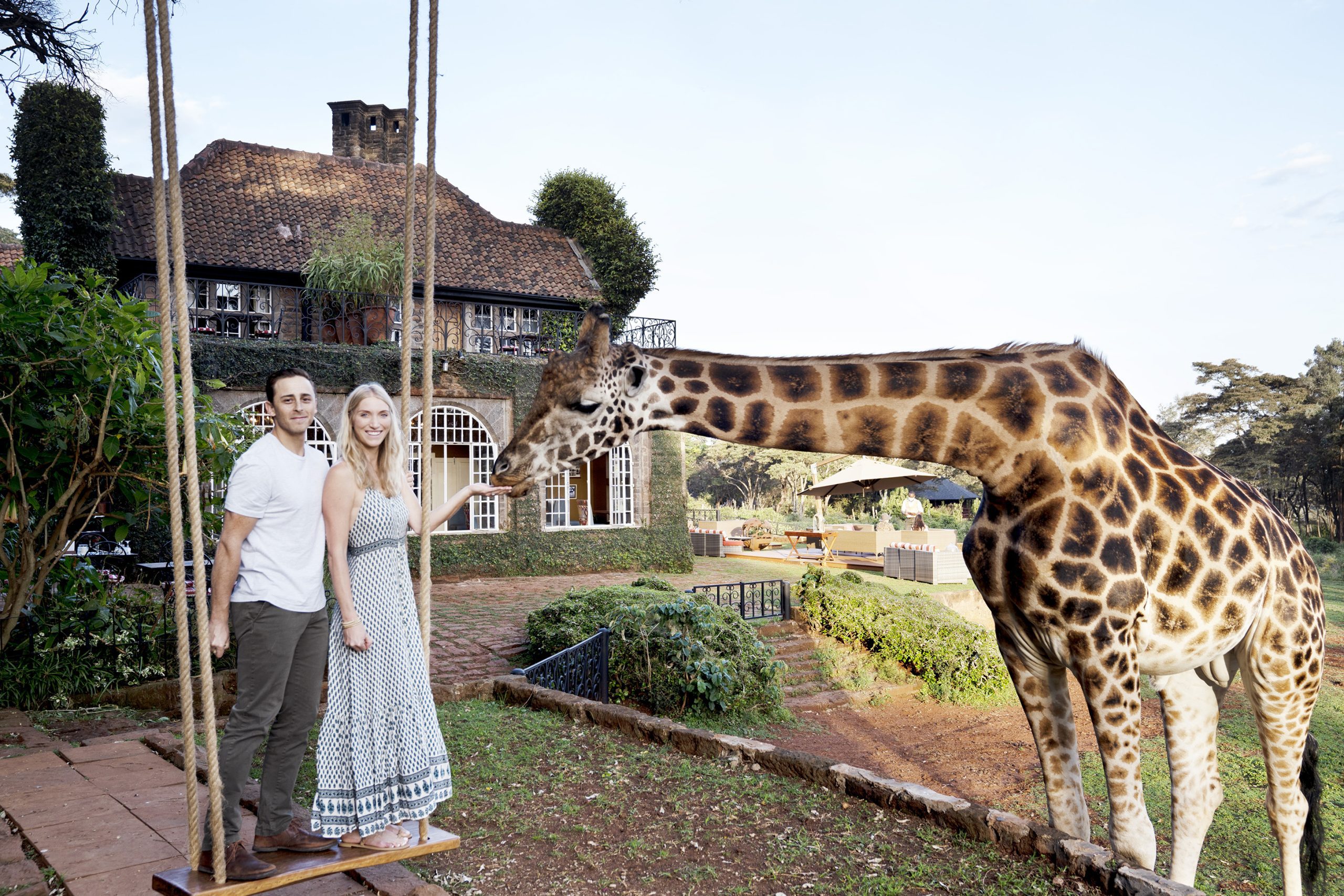 Kyle and Leah feeding a giraffe at Giraffe Manor