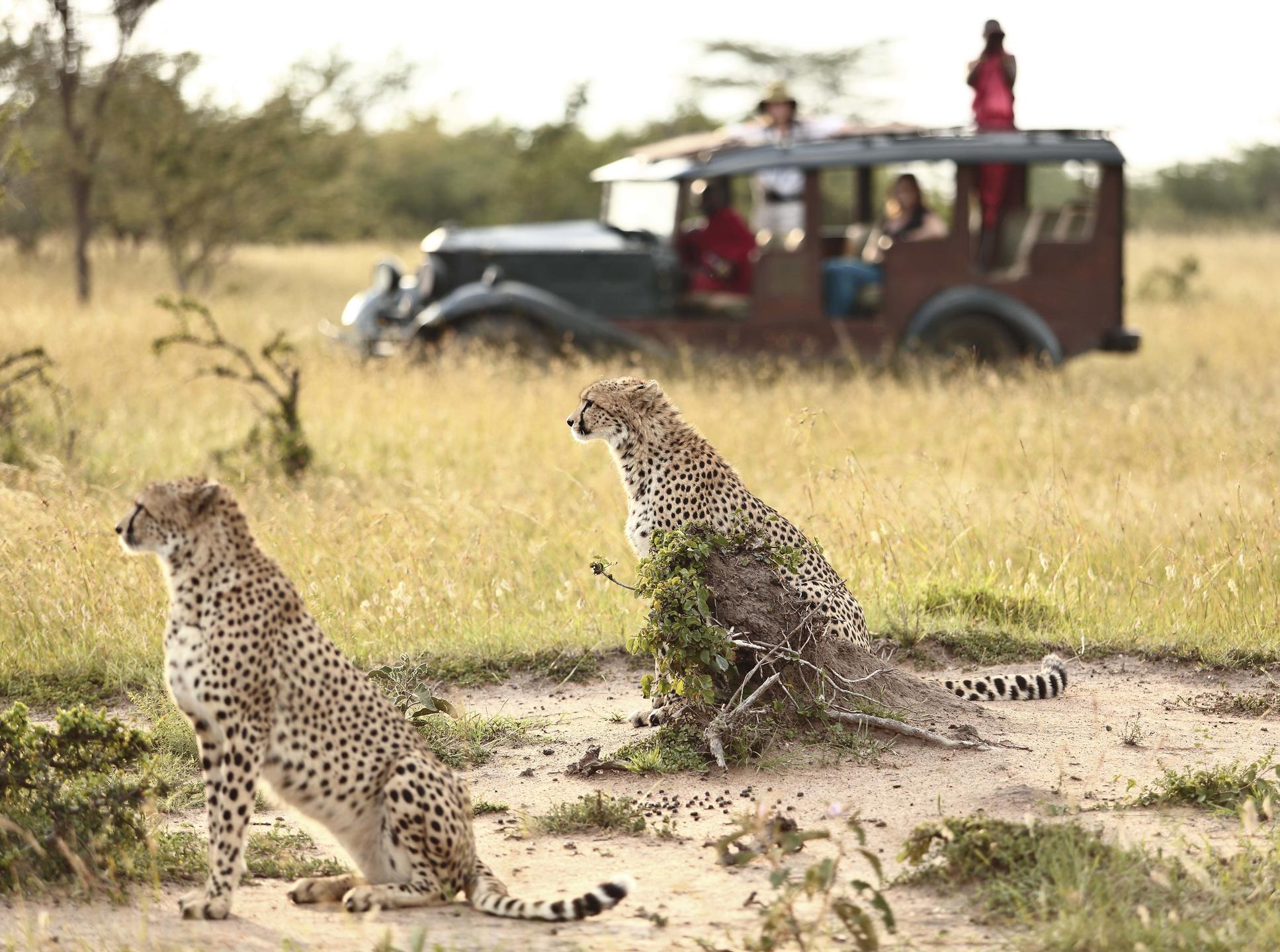 masai mara luxury tour