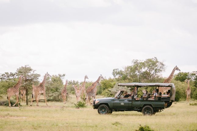 Cottars 1920s, private conservancy, Greater Masai Mara, Kenya