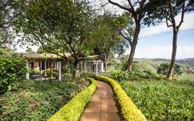 pathway-to-the-dining-room