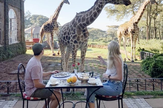 giraffe_manor_lr_square_