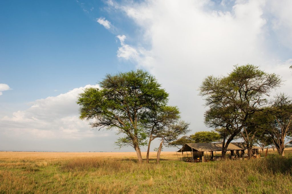 Nomad Serengeti Safari Camp, Serengeti National Park, Tanzania