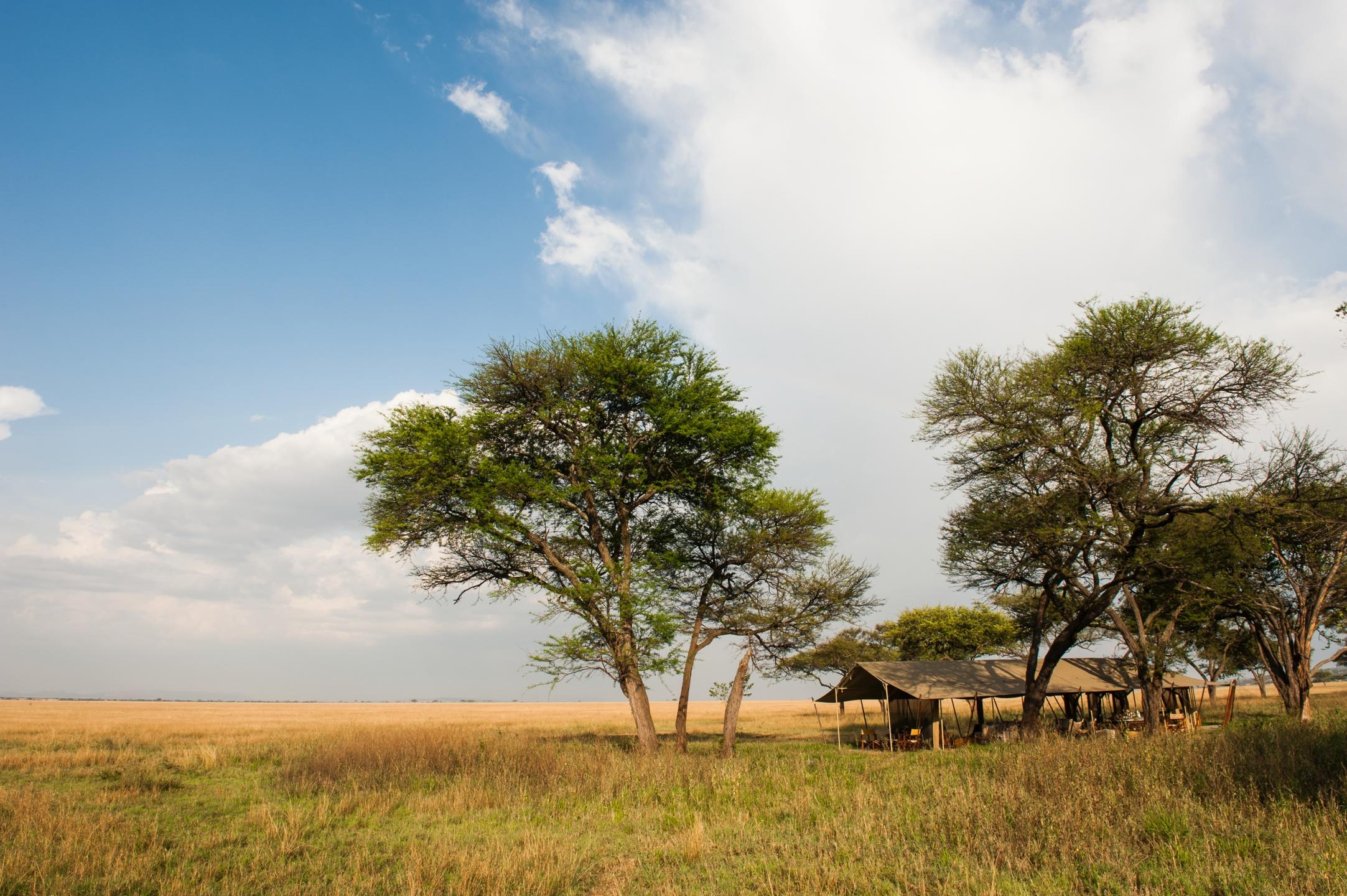 Our Top 5 Mobile Camps to Experience the Great Migration