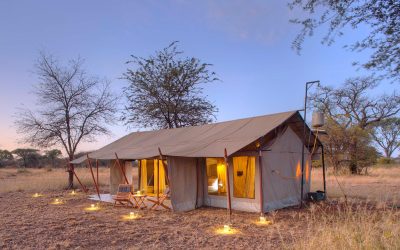 Ubuntu Migration Camp, Serengeti National Park, Tanzania