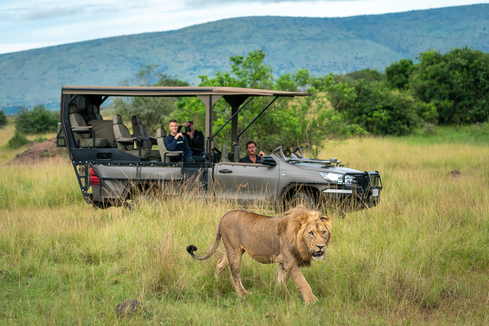 Lion spotted on a safari game drive at Wilderness Magashi, Rwanda