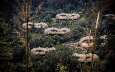 Wilderness Bisate, Rwanda