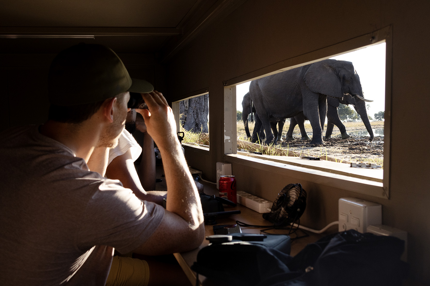 Elephant hide outside Wilderness Linkwasha, Hwange National Park, Zimbabwe. 