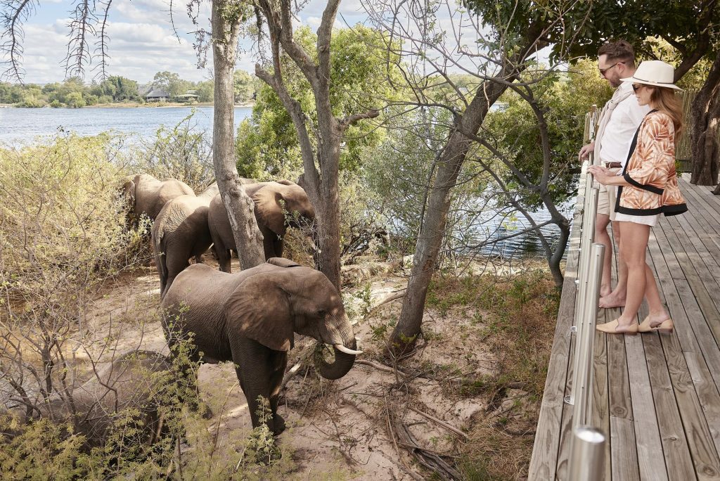 A pair of visitors looking out at a group of elephants at the Victoria Falls River Lodge