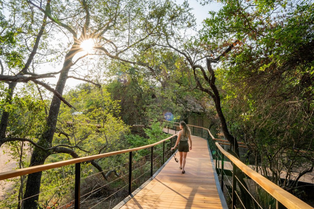 Thornybush Game Lodge, South Africa