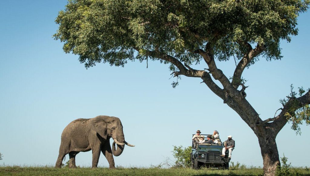 Savanna Lodge, Sabi Sand Game Reserve, South Africa