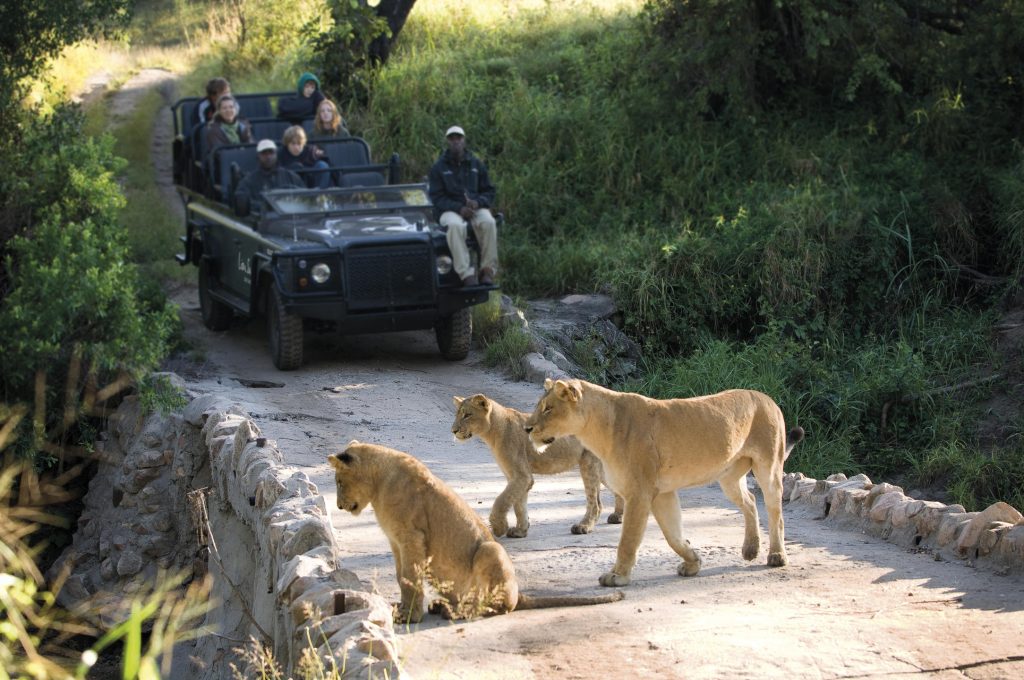 Lion Sands River Lodge, Sabi Sand Game Reserve, South Africa.