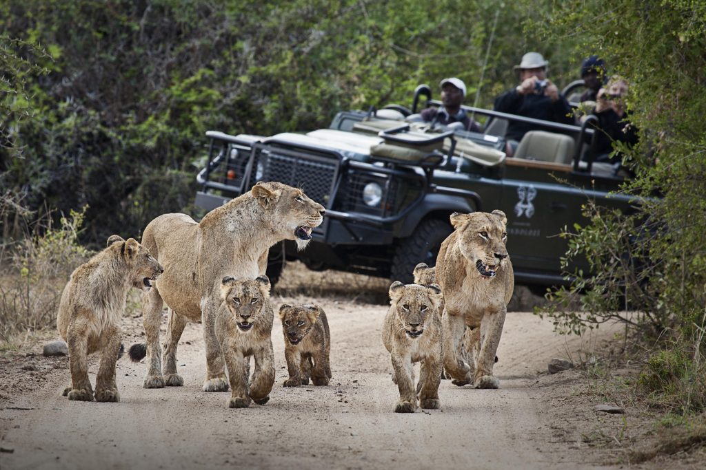 Londolozi Founders Camp, Sabi Sand Game Reserve, South Africa.