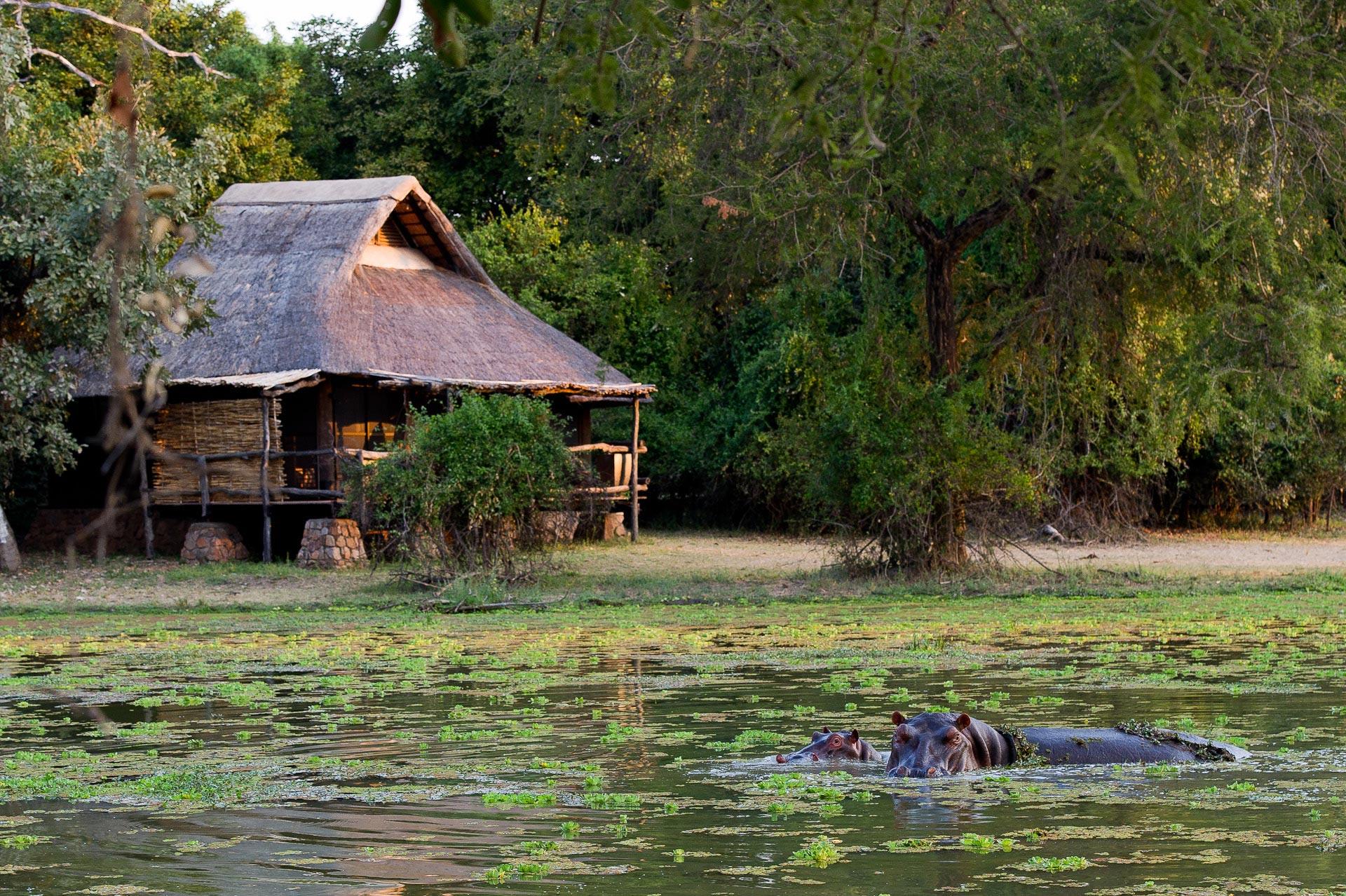 The Bushcamp Mfuwe Lodge, Zambia