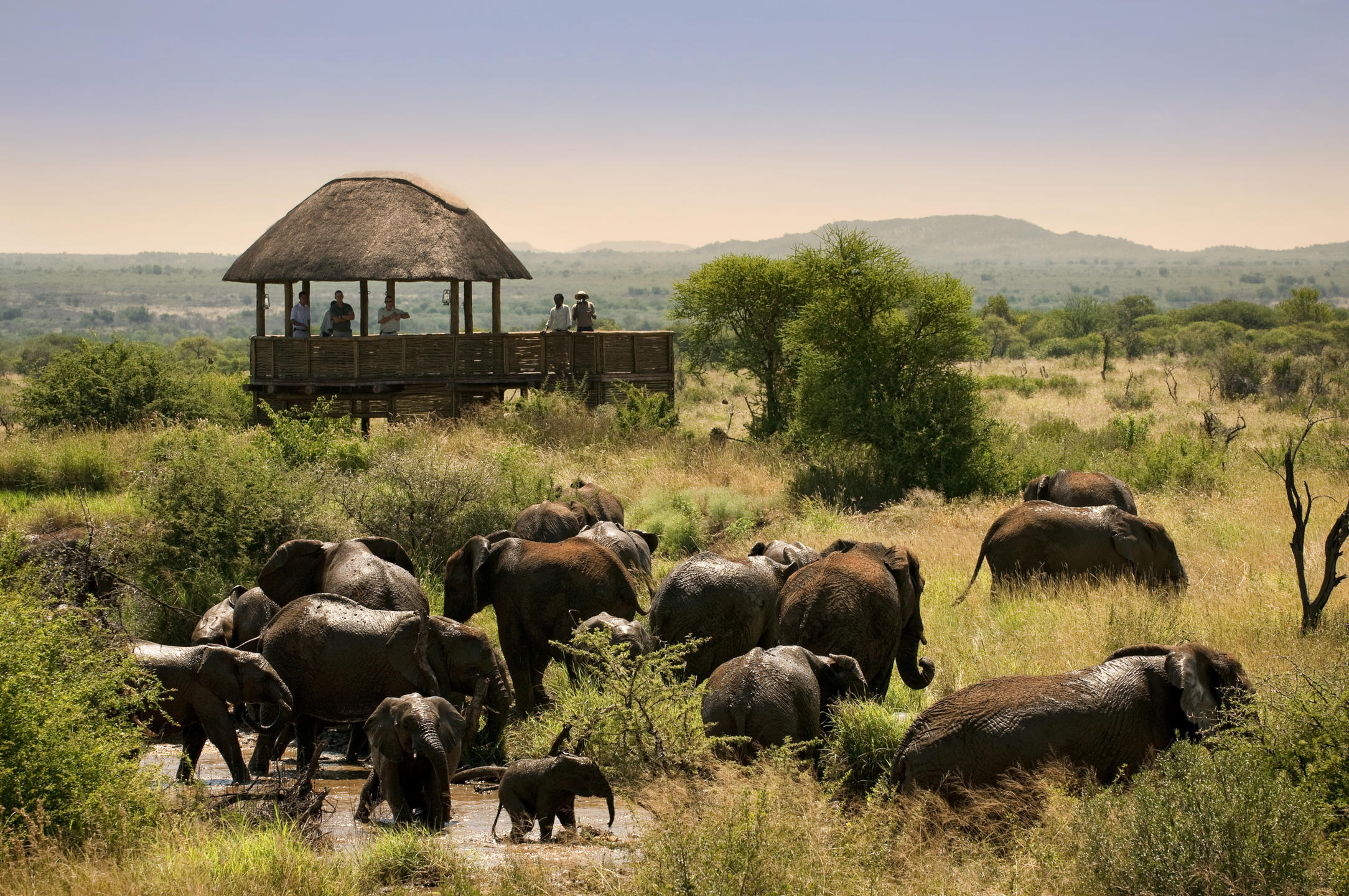 Morukuru River House, Madikwe Private Game Reserve,South Africa.