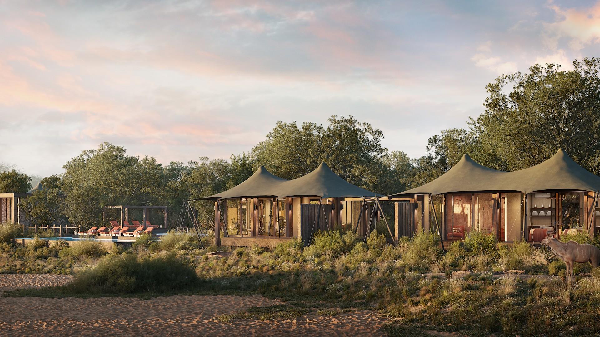 NGALA RENDERS.