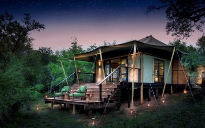 Ngala Tented Camp, Kruger National Park, South Africa