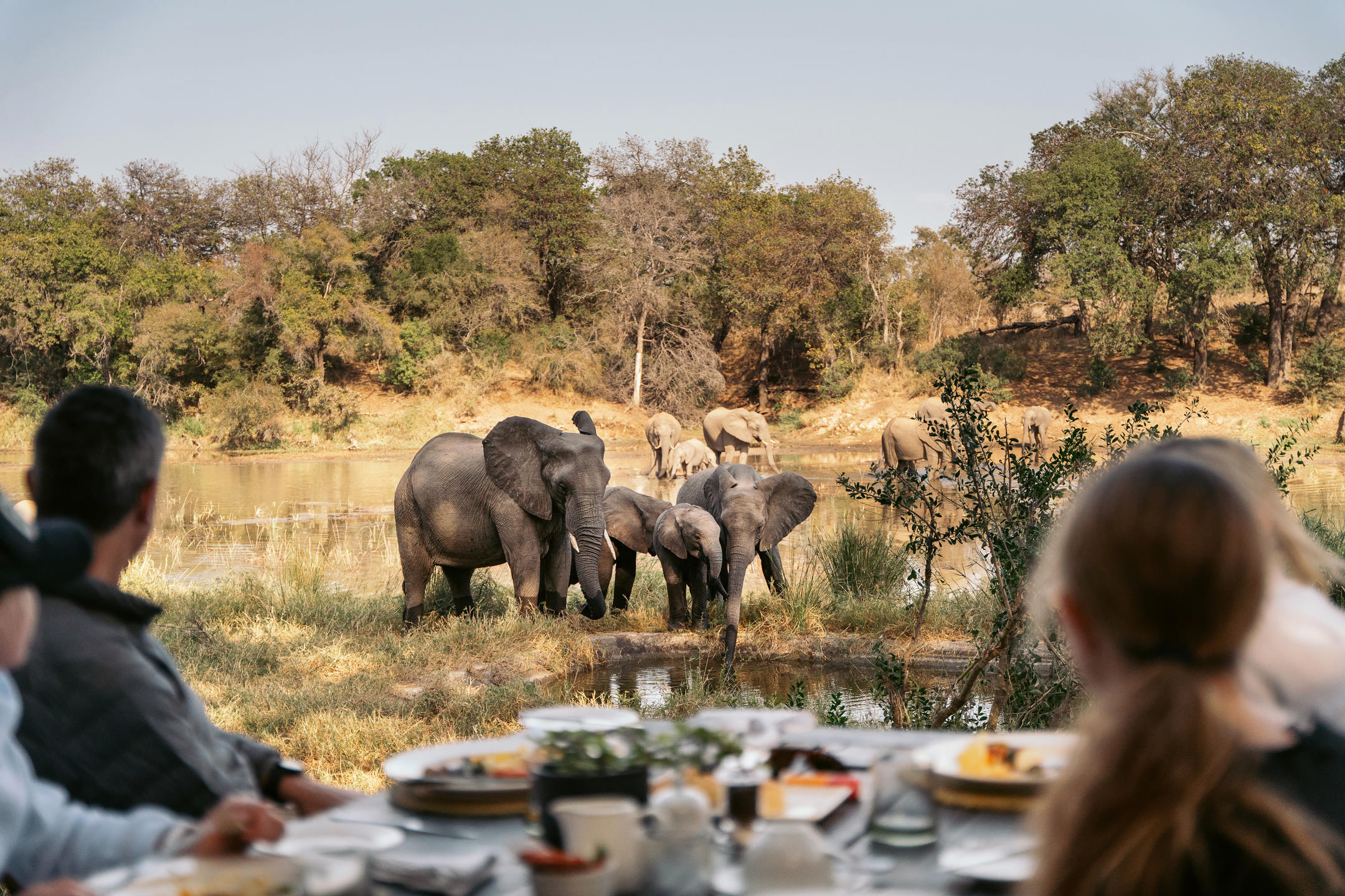 Simbavati River Lodge, Timbavati Game Reserve, South Africa.