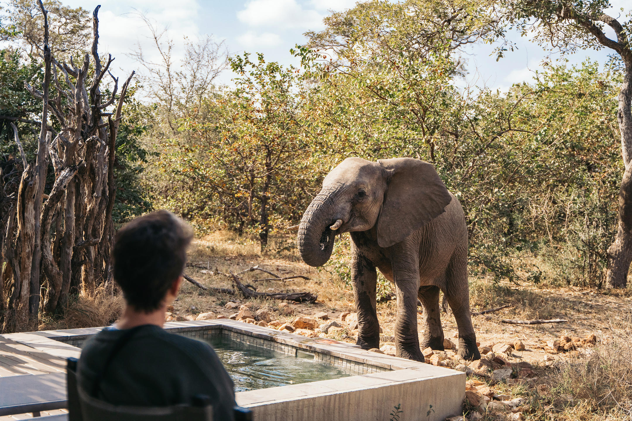 Simbavati River Lodge, Timbavati Game Reserve, South Africa.