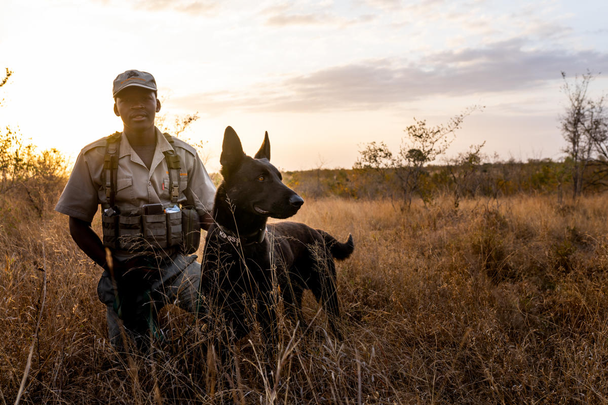 Singita Ebony Lodge, Sabi Sand Game Reserve, South Africa