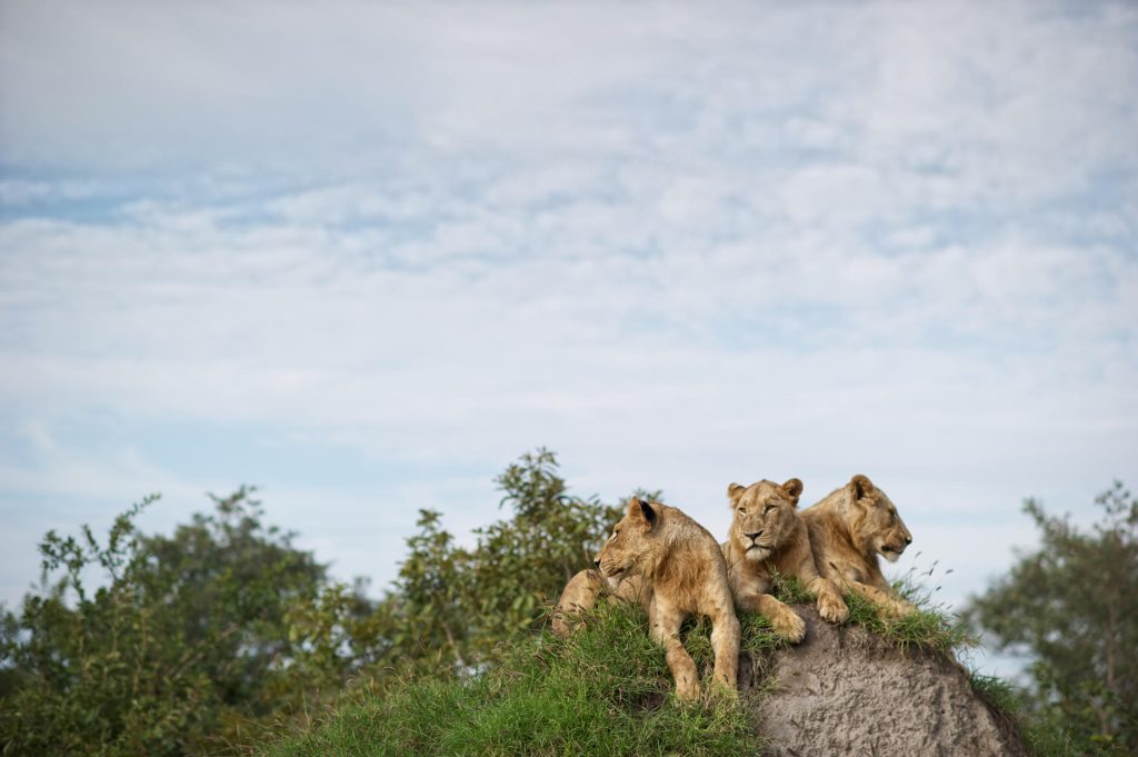 Singita Lebombo, Kruger National Park, South Africa.