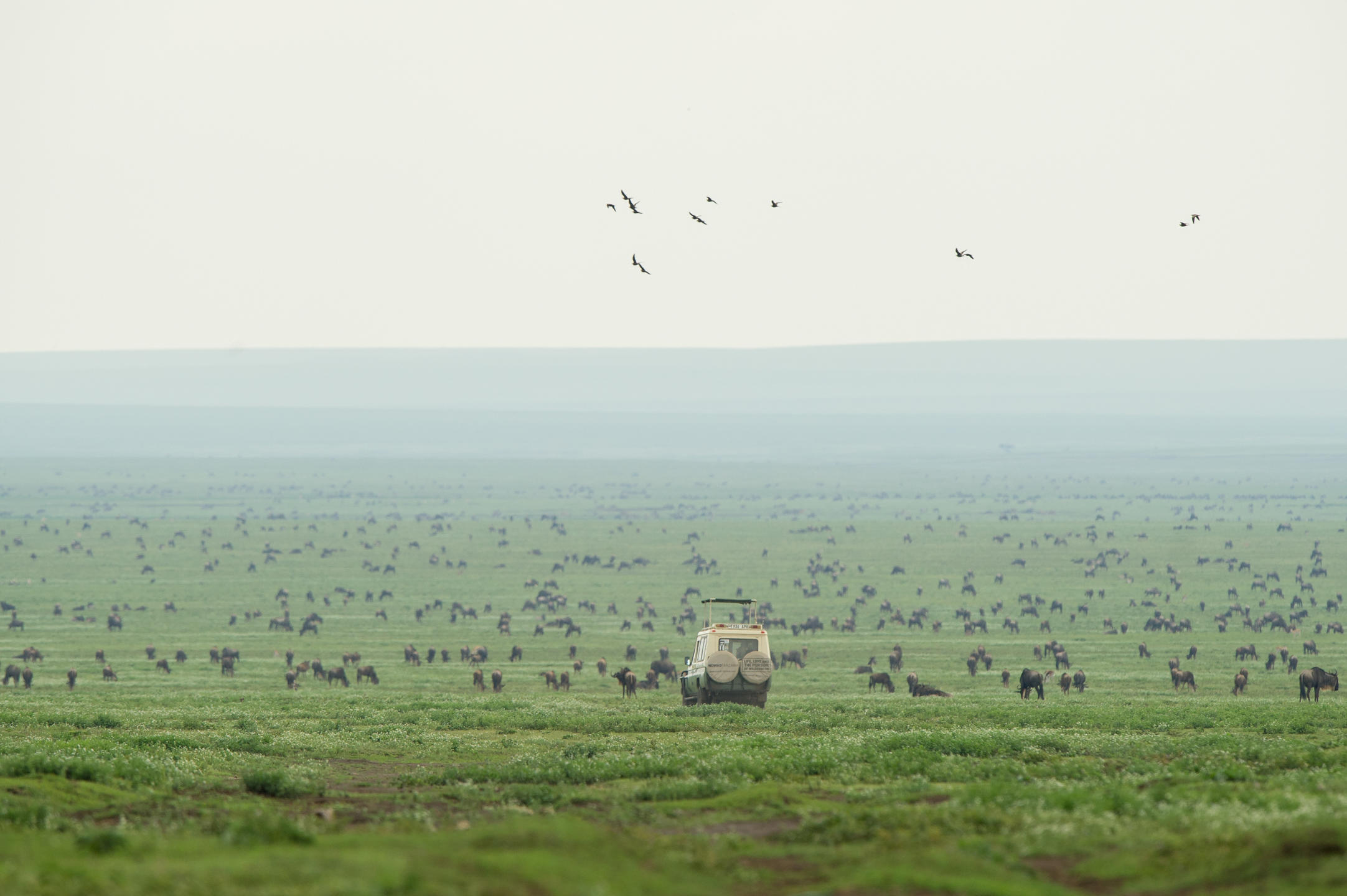 Nomad Serengeti Safari Camp