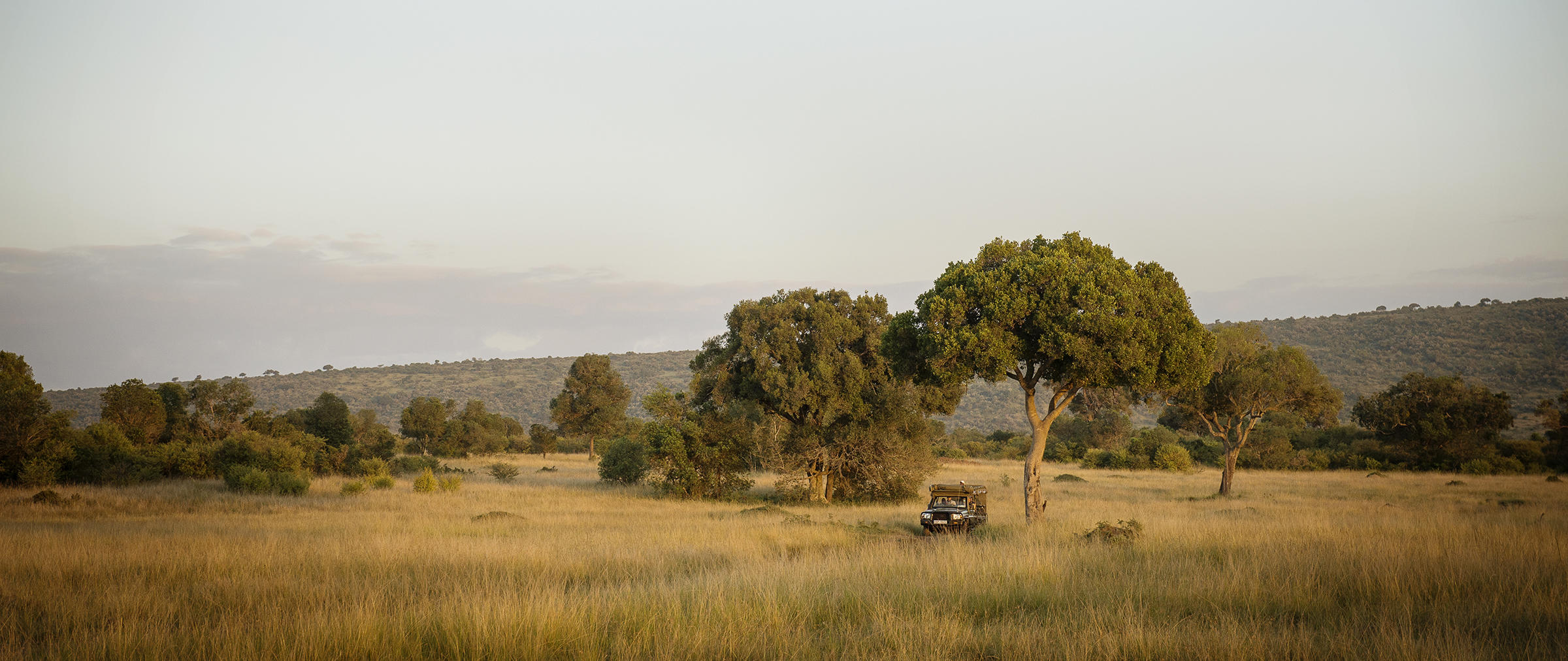Ngare Serian. Masai Mara