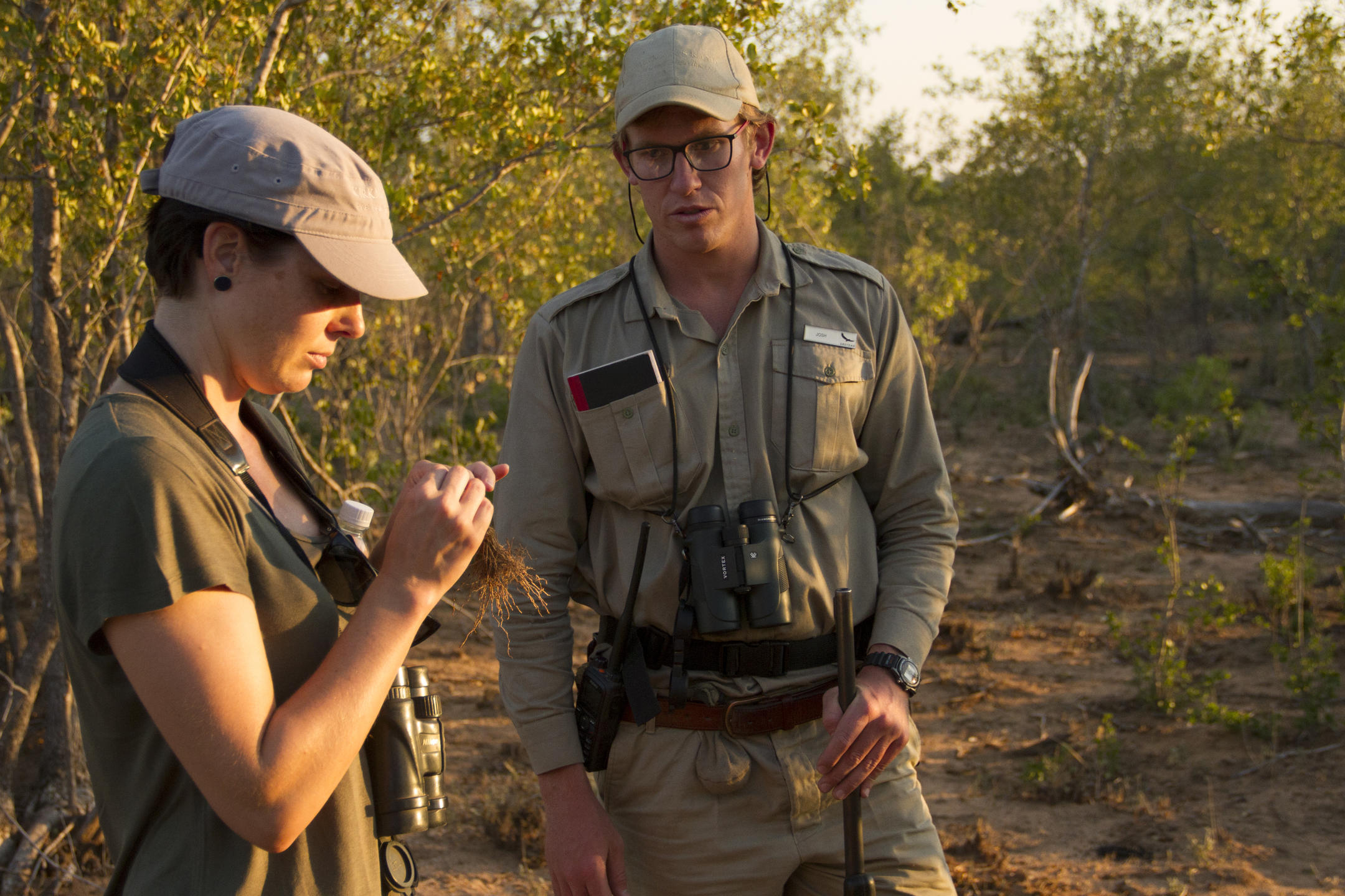 Guided walking safari in the Sabi Sand Game Reserve, South Africa. 