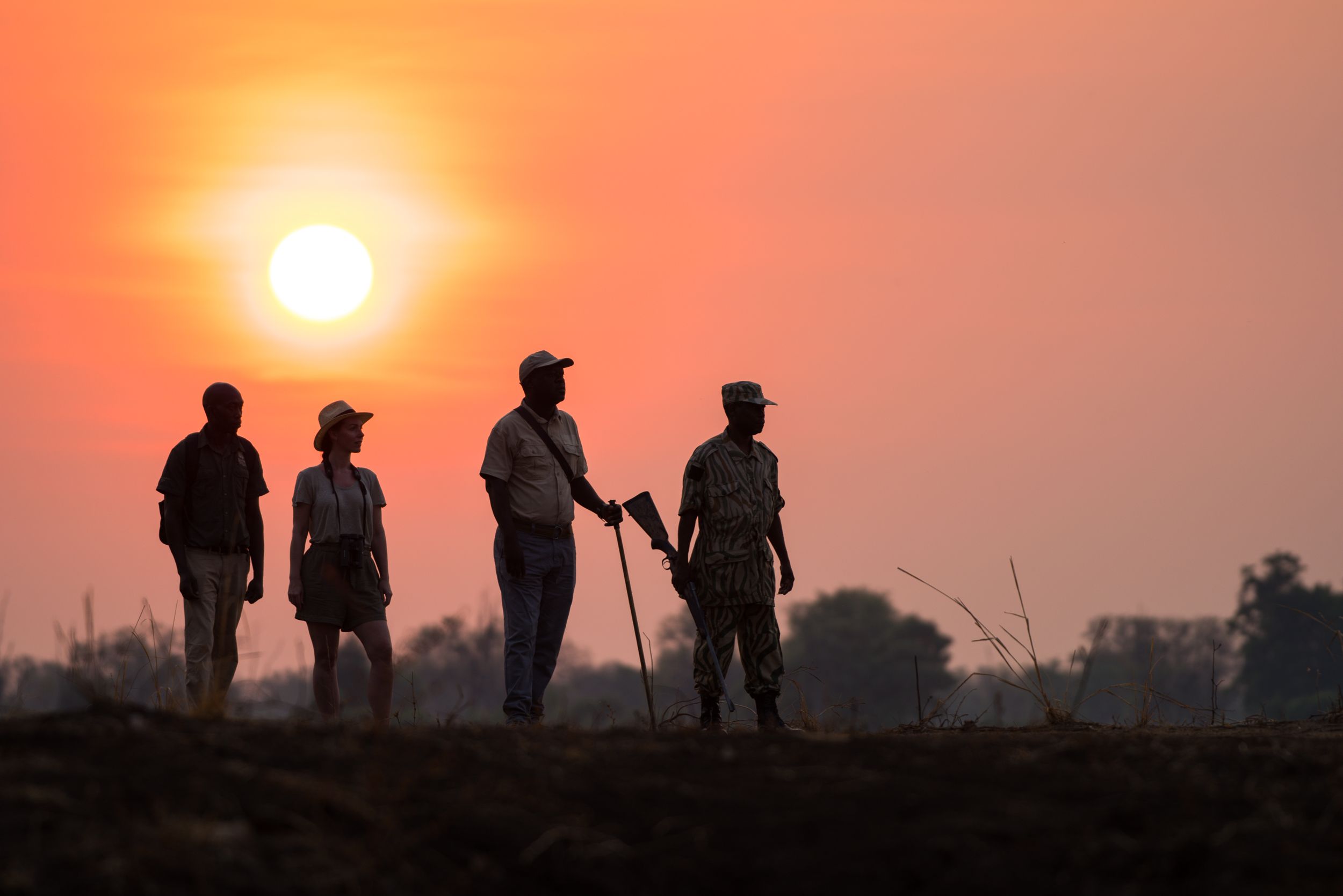 Morning walking safari, Zambia. 