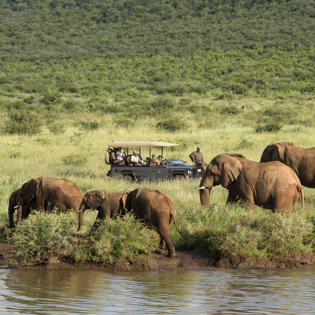 Family Coast to Big Five Safari 