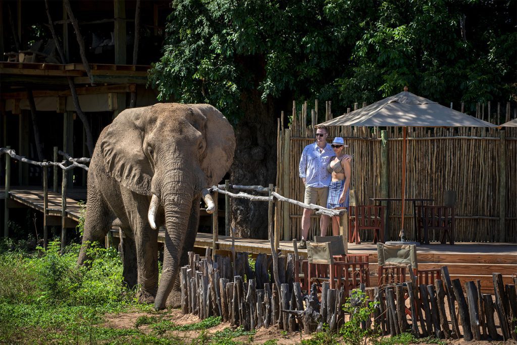 Nyamatusi Camp, Mana Pools, Zimbabwe