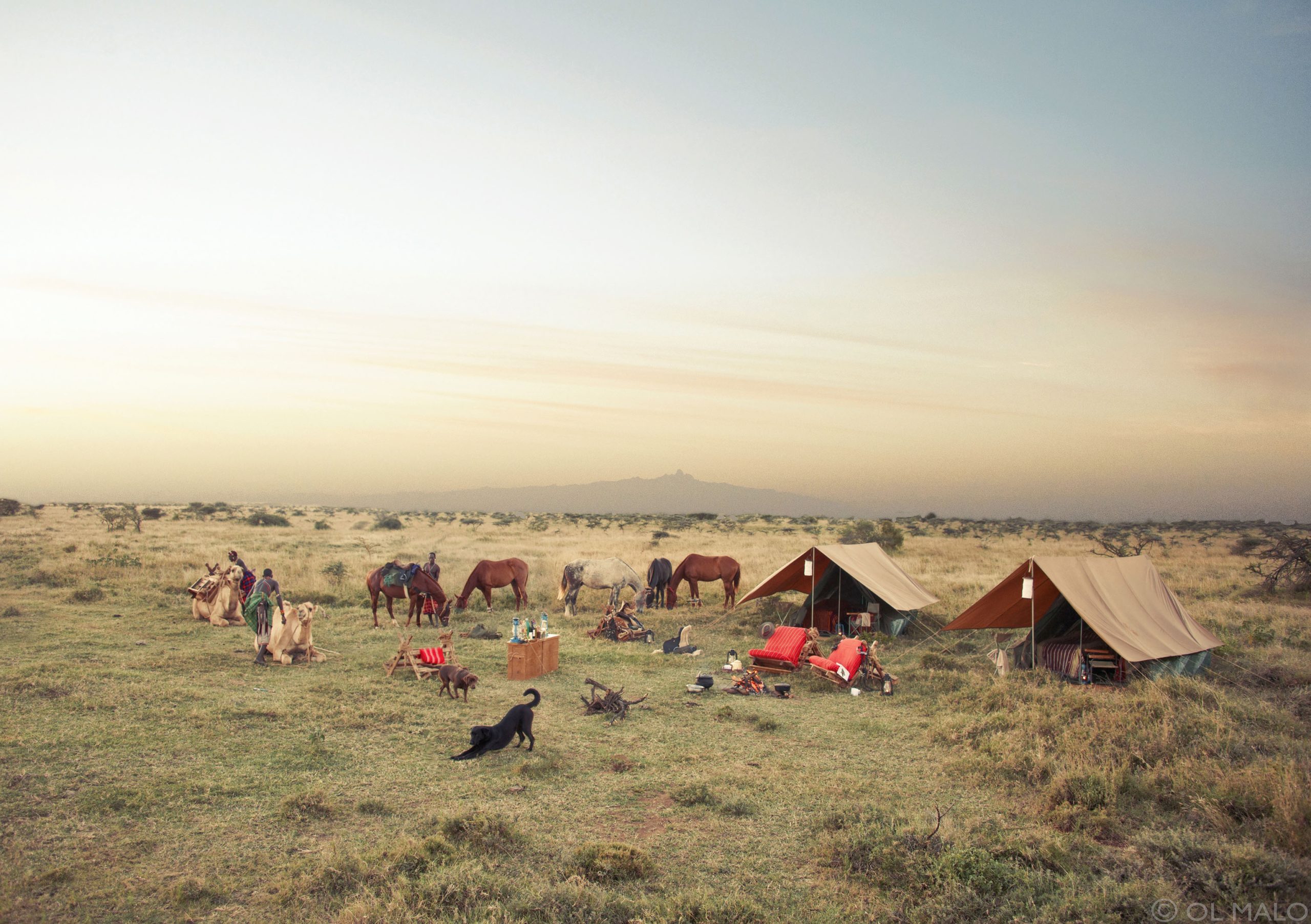 Ol Malo Nomad, flycamping in the Laikipia region, Kenya