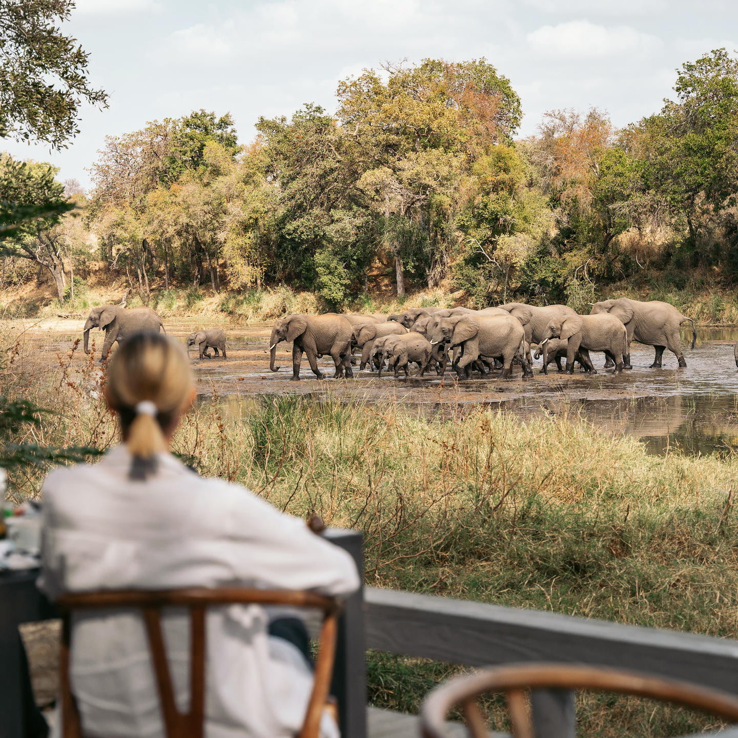 Classic South Africa Safari 