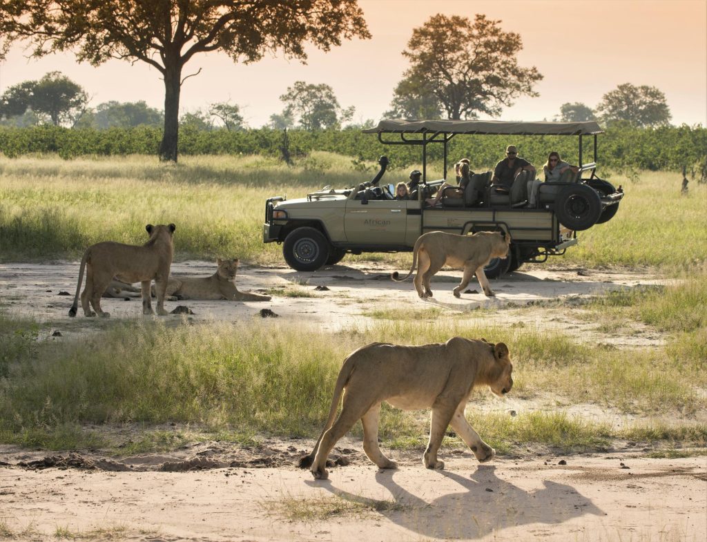 African Bush Camps Somalisa Acacia