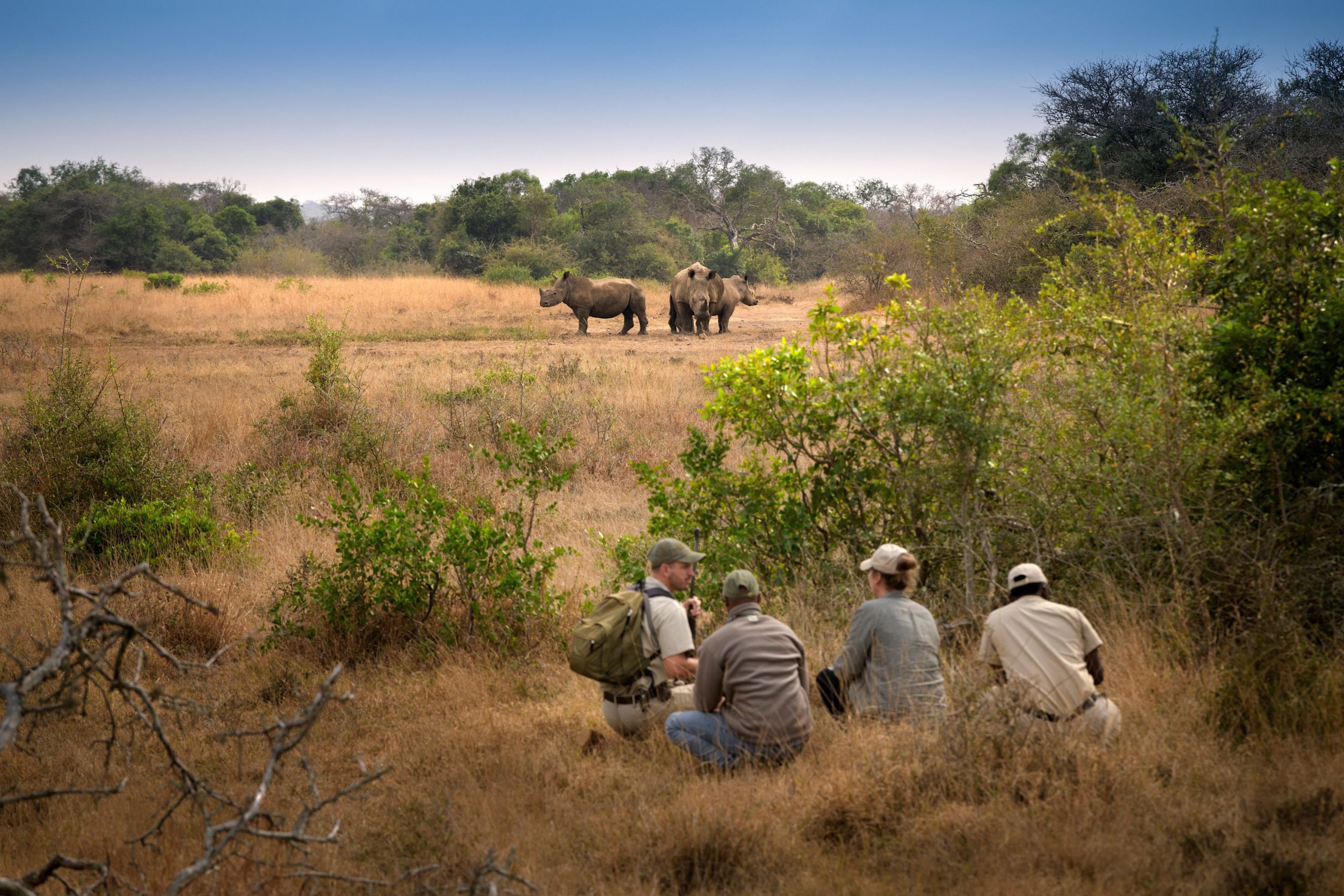 Tracking walking safari at Phinda Private Game Reserve, South Africa. 