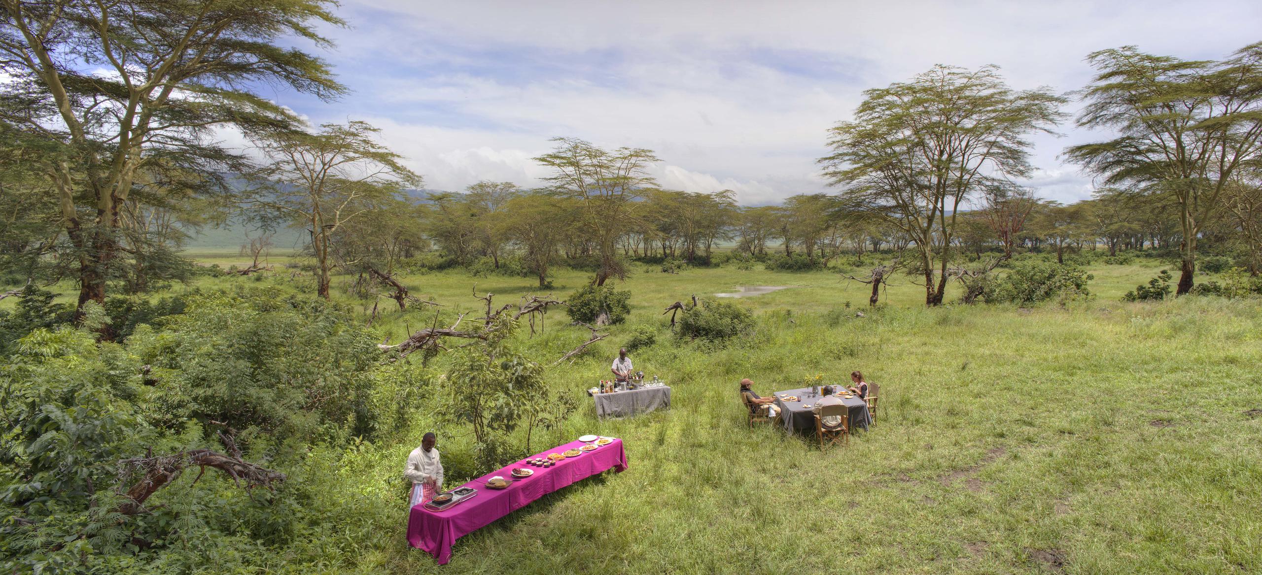 Asilia Highlands, Ngorongoro Crate, Tanzania