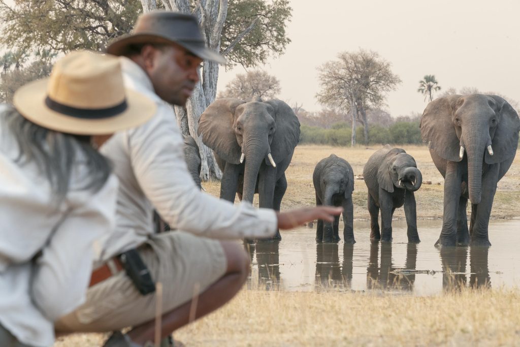A guide and visitor watching a group of elephants at a watering hole