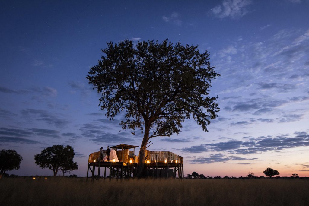 Wilderness Linkwasha, Hwange National Park, Zimbabwe