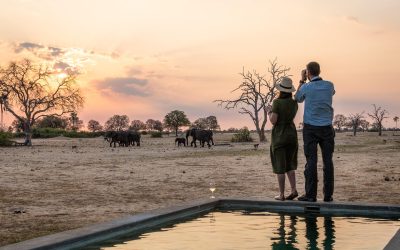 Wilderness Linkwasha, Hwange National Park, Zimbabwe