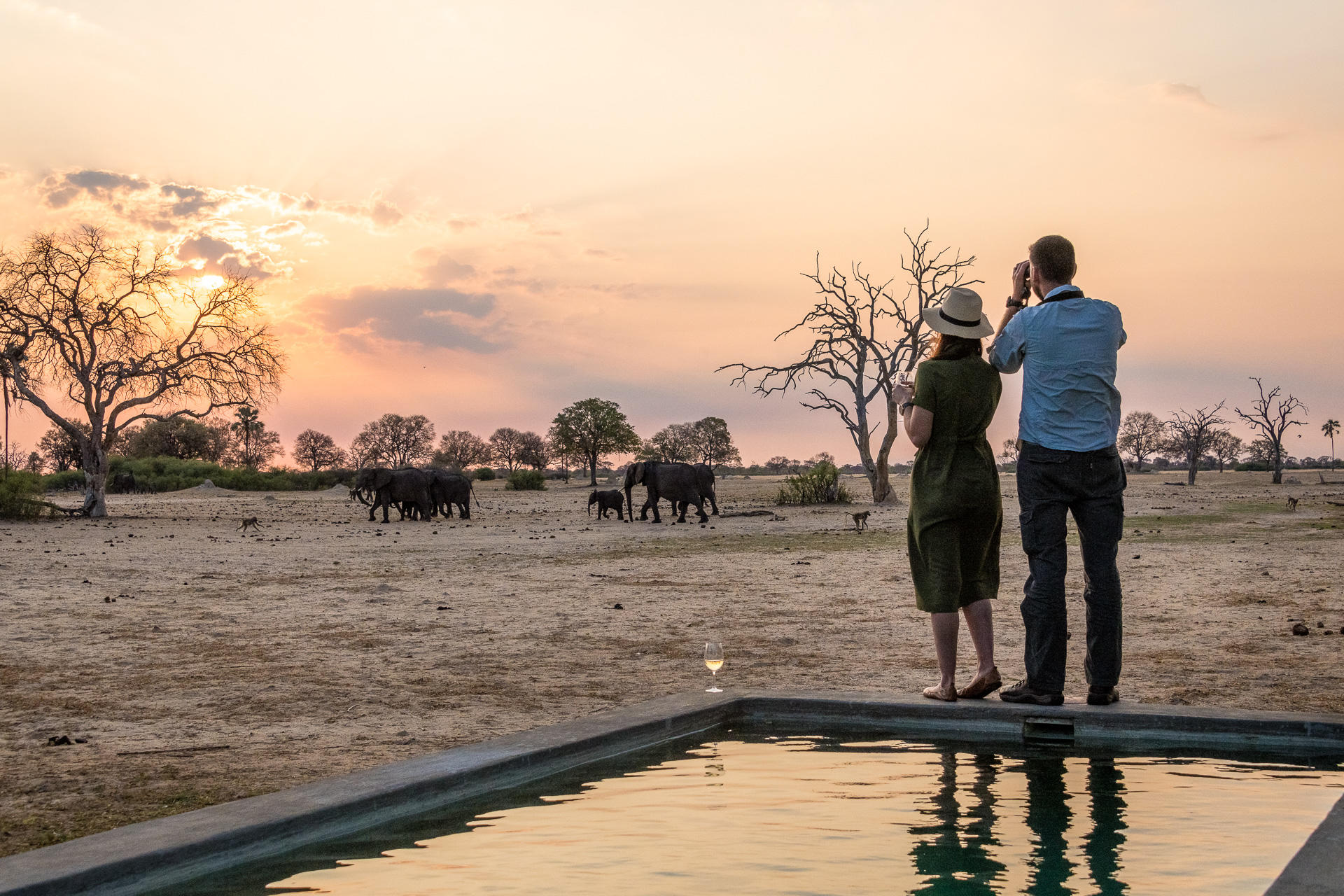 Wilderness Linkwasha, Hwange National Park, Zimbabwe