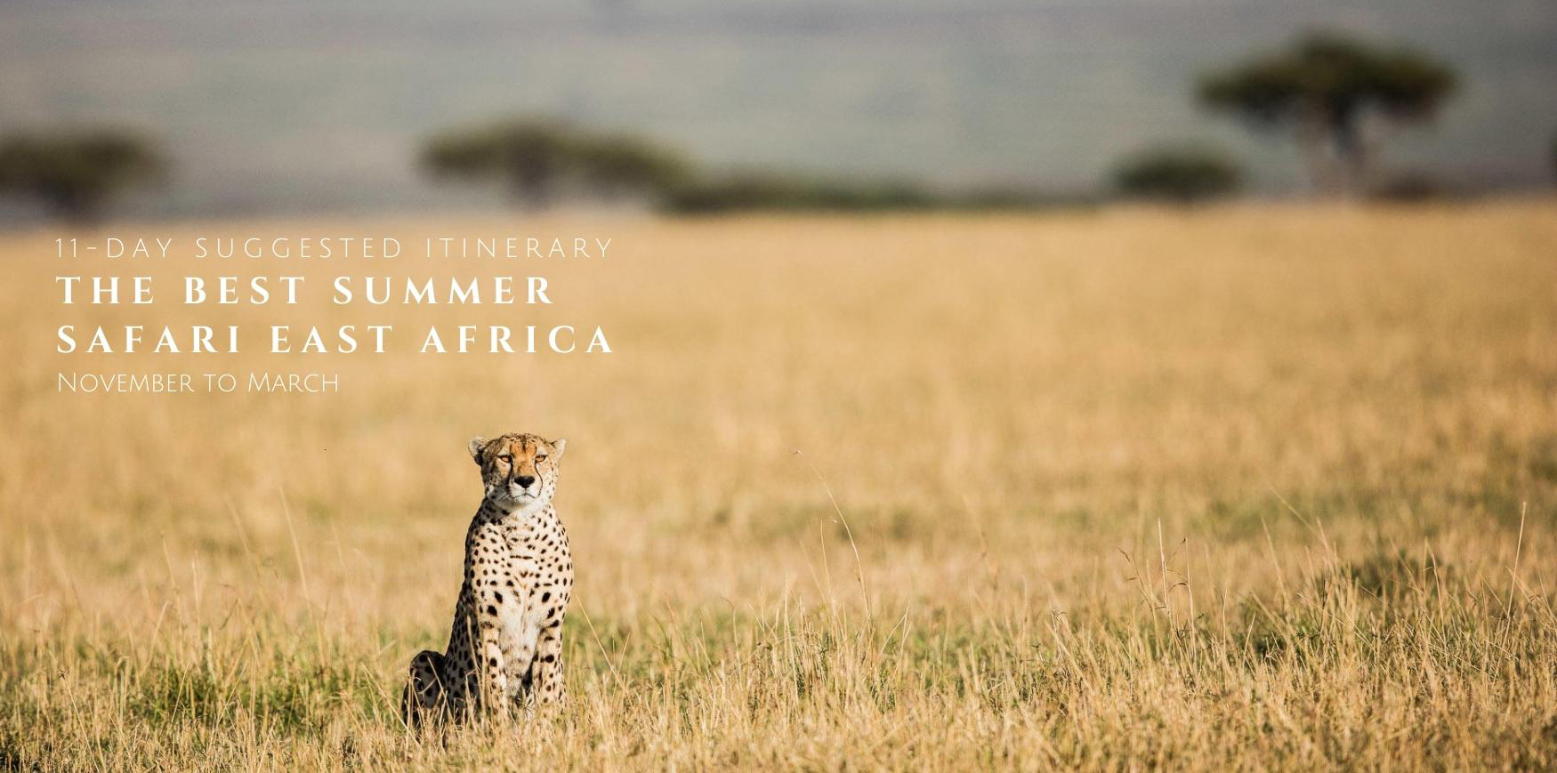 Suggested Itinerary. Serengeti 