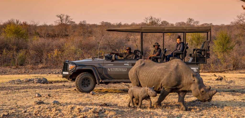 Stanley & Livingstone, Victoria Falls, Zimbabwe