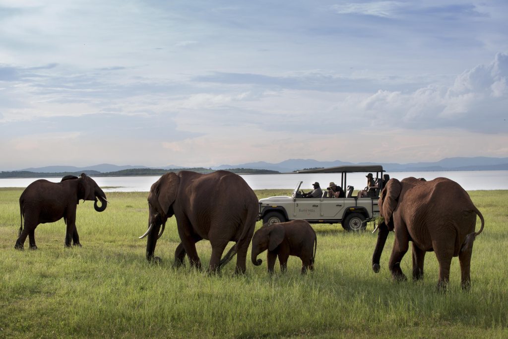 African Bush Camps, Bumi Hills, Zimbabwe