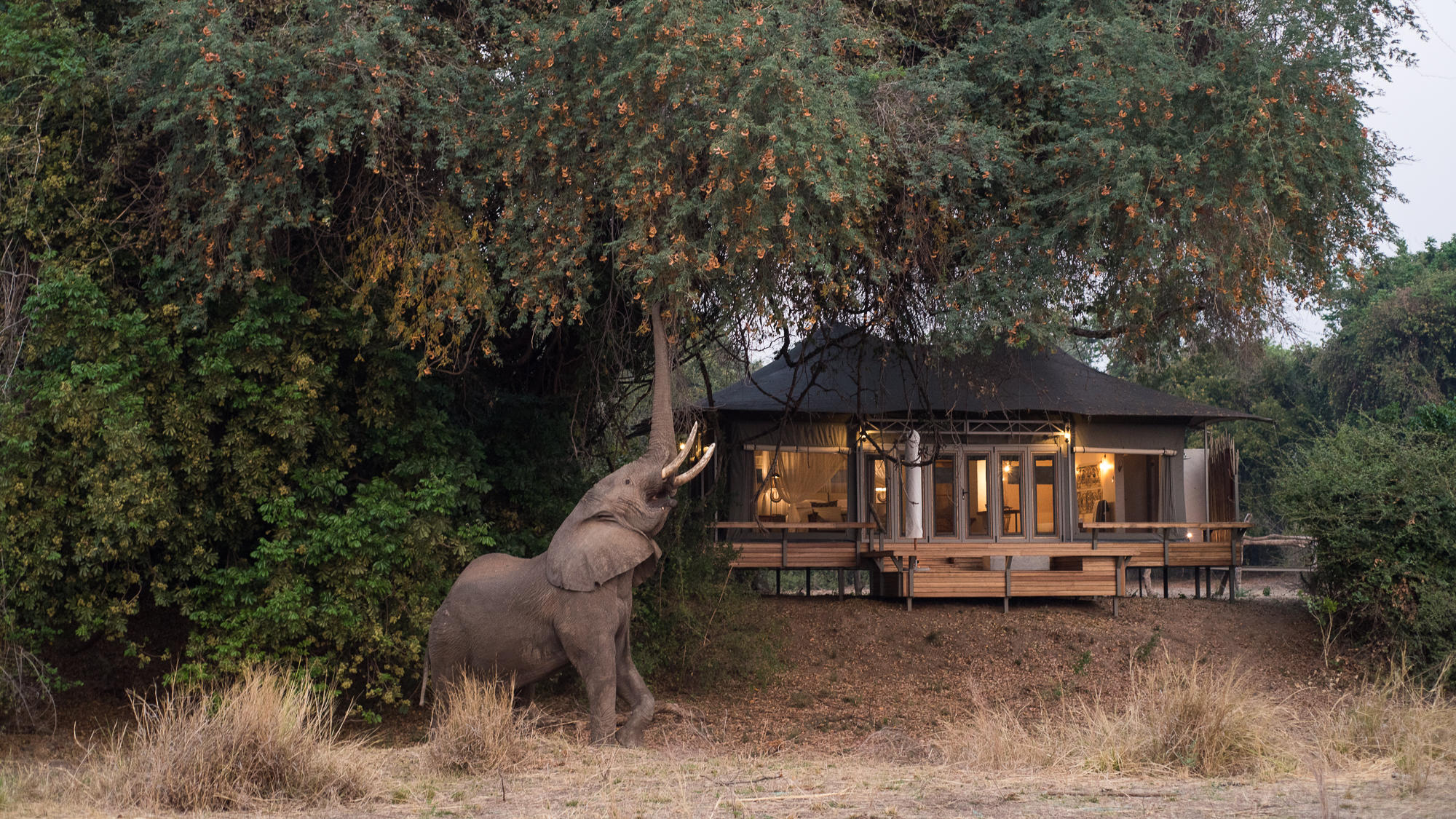 Wilderness Chikwenya, Mana Pools, Zimbabwe