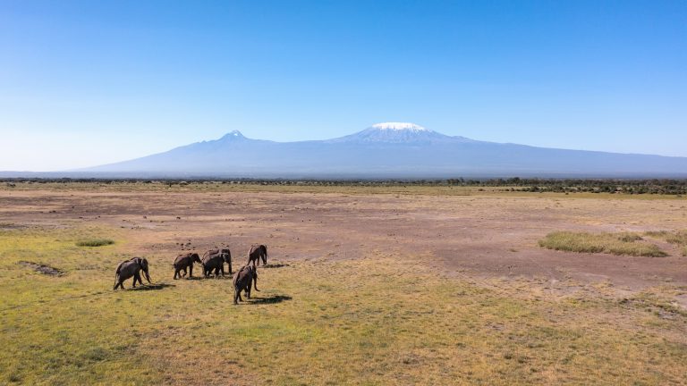 Angama Amboseli, Amboseli National Park, Kenya